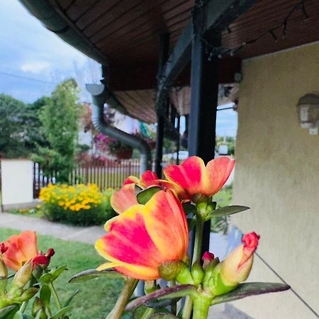 Cozy Garden Apartman Apartamento Gyula Exterior foto