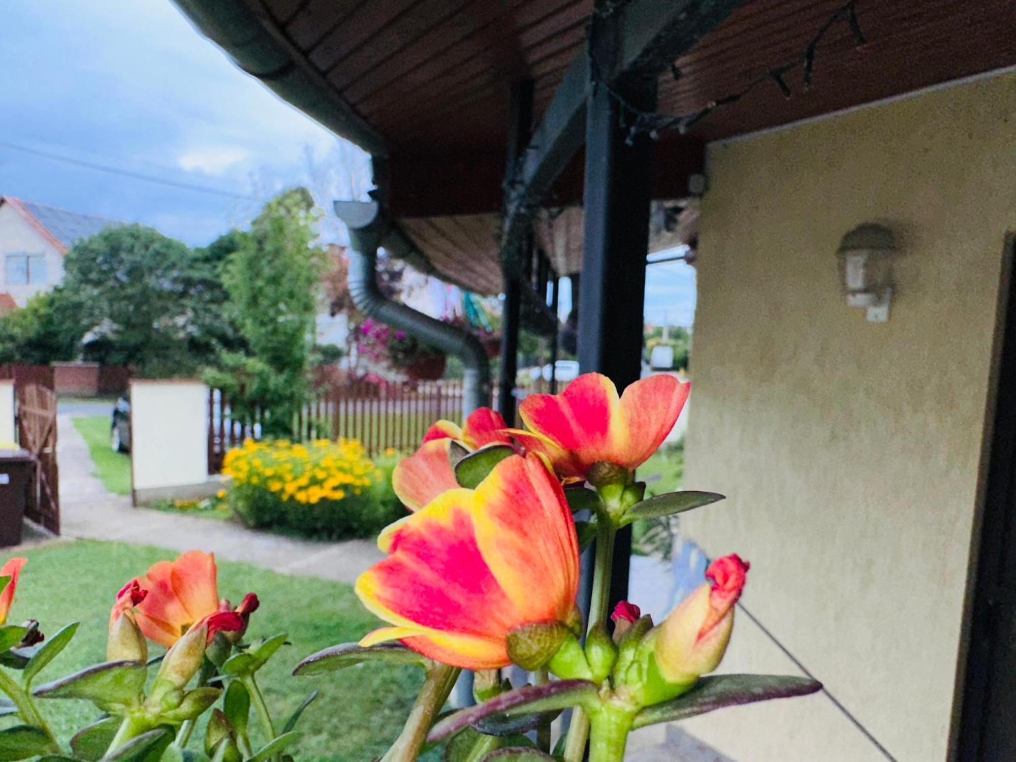 Cozy Garden Apartman Apartamento Gyula Exterior foto